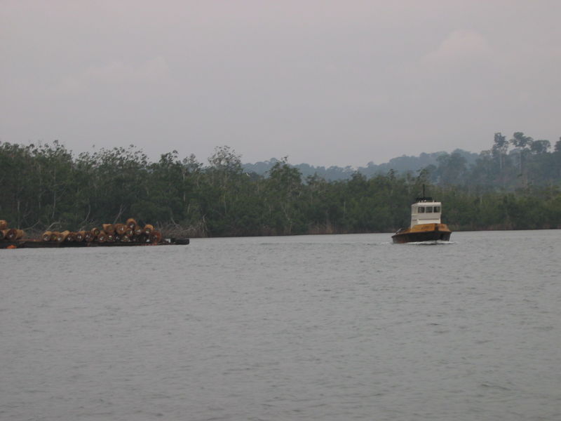 Bateau sur la lagune de Mayumba
