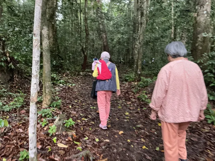 Une promenade du groupe au milieu des arbres