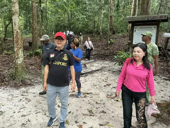 Les voyageurs pendant une découverte en forêt