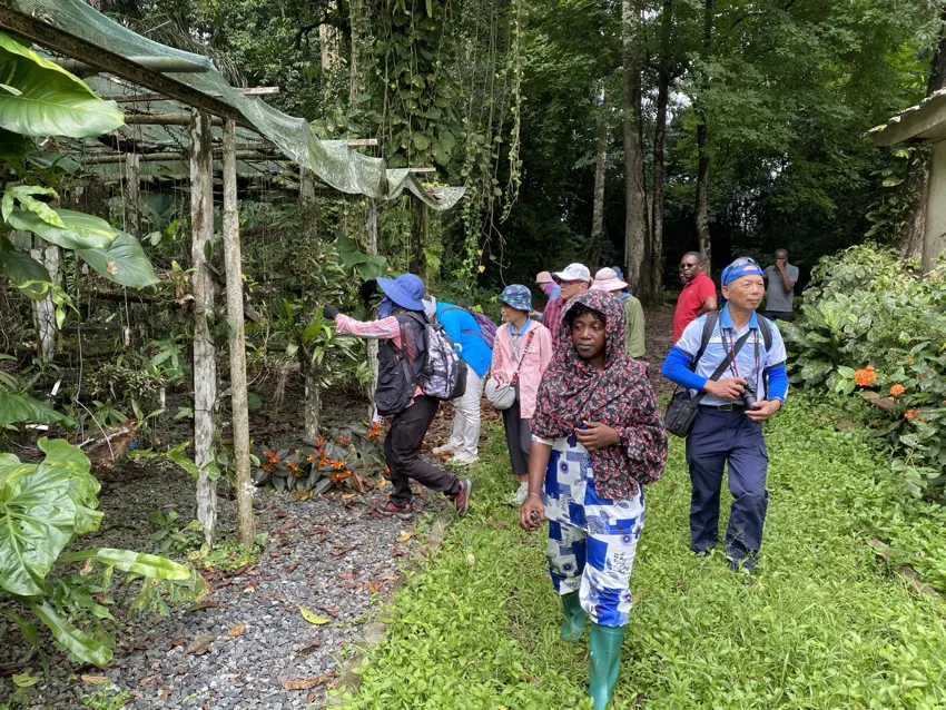 Un descubrimiento en el bosque